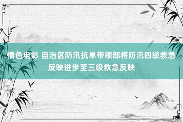 情色电影 自治区防汛抗旱带领部将防汛四级救急反映进步至三级救急反映