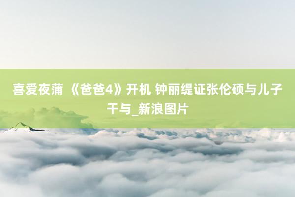 喜爱夜蒲 《爸爸4》开机 钟丽缇证张伦硕与儿子干与_新浪图片