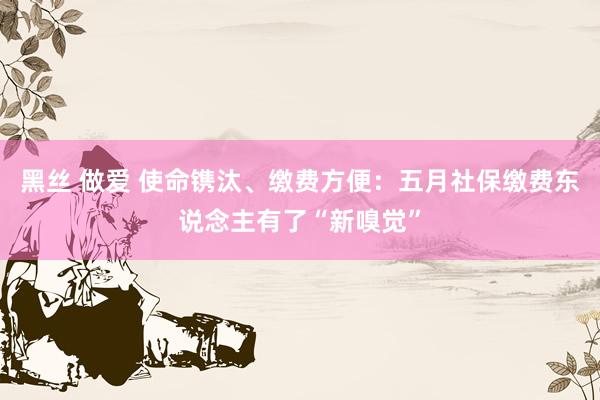 黑丝 做爱 使命镌汰、缴费方便：五月社保缴费东说念主有了“新嗅觉”