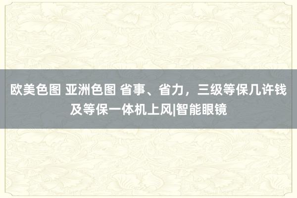 欧美色图 亚洲色图 省事、省力，三级等保几许钱及等保一体机上风|智能眼镜