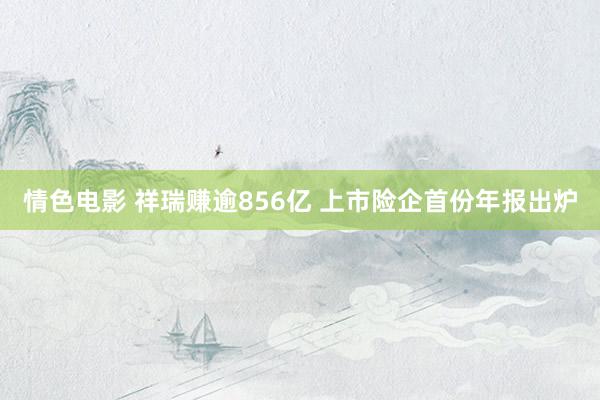 情色电影 祥瑞赚逾856亿 上市险企首份年报出炉