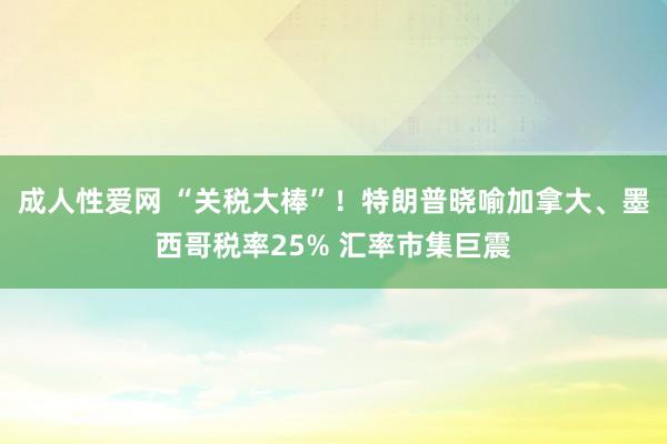 成人性爱网 “关税大棒”！特朗普晓喻加拿大、墨西哥税率25% 汇率市集巨震