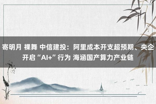 寄明月 裸舞 中信建投：阿里成本开支超预期、央企开启“AI+”行为 海涵国产算力产业链