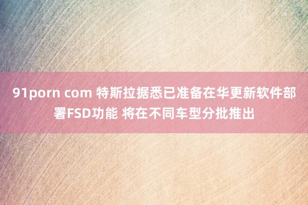 91porn com 特斯拉据悉已准备在华更新软件部署FSD功能 将在不同车型分批推出