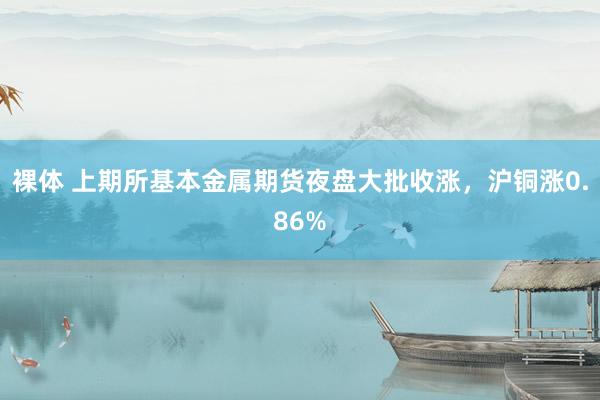 裸体 上期所基本金属期货夜盘大批收涨，沪铜涨0.86%