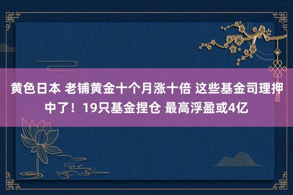 黄色日本 老铺黄金十个月涨十倍 这些基金司理押中了！19只基金捏仓 最高浮盈或4亿